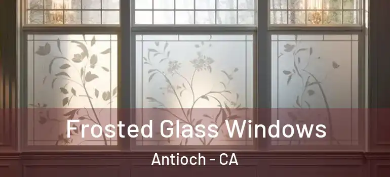  Frosted Glass Windows Antioch - CA
