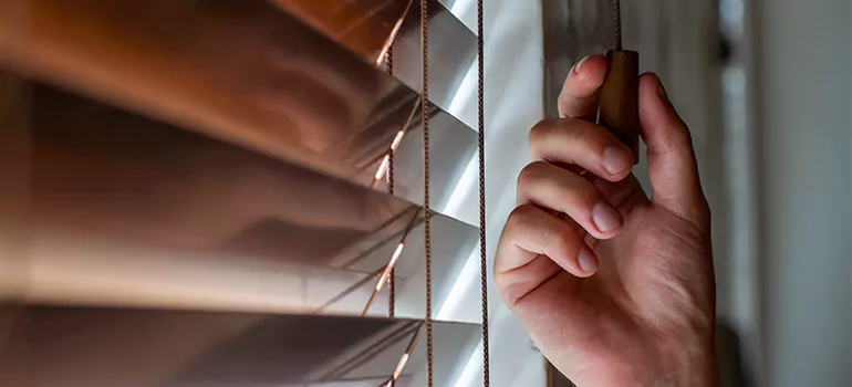 Double Roller Blinds in Antioch, CA