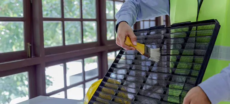 Traditional Window Grille Installation Options in Antioch, CA