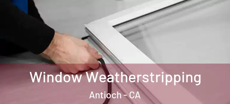  Window Weatherstripping Antioch - CA